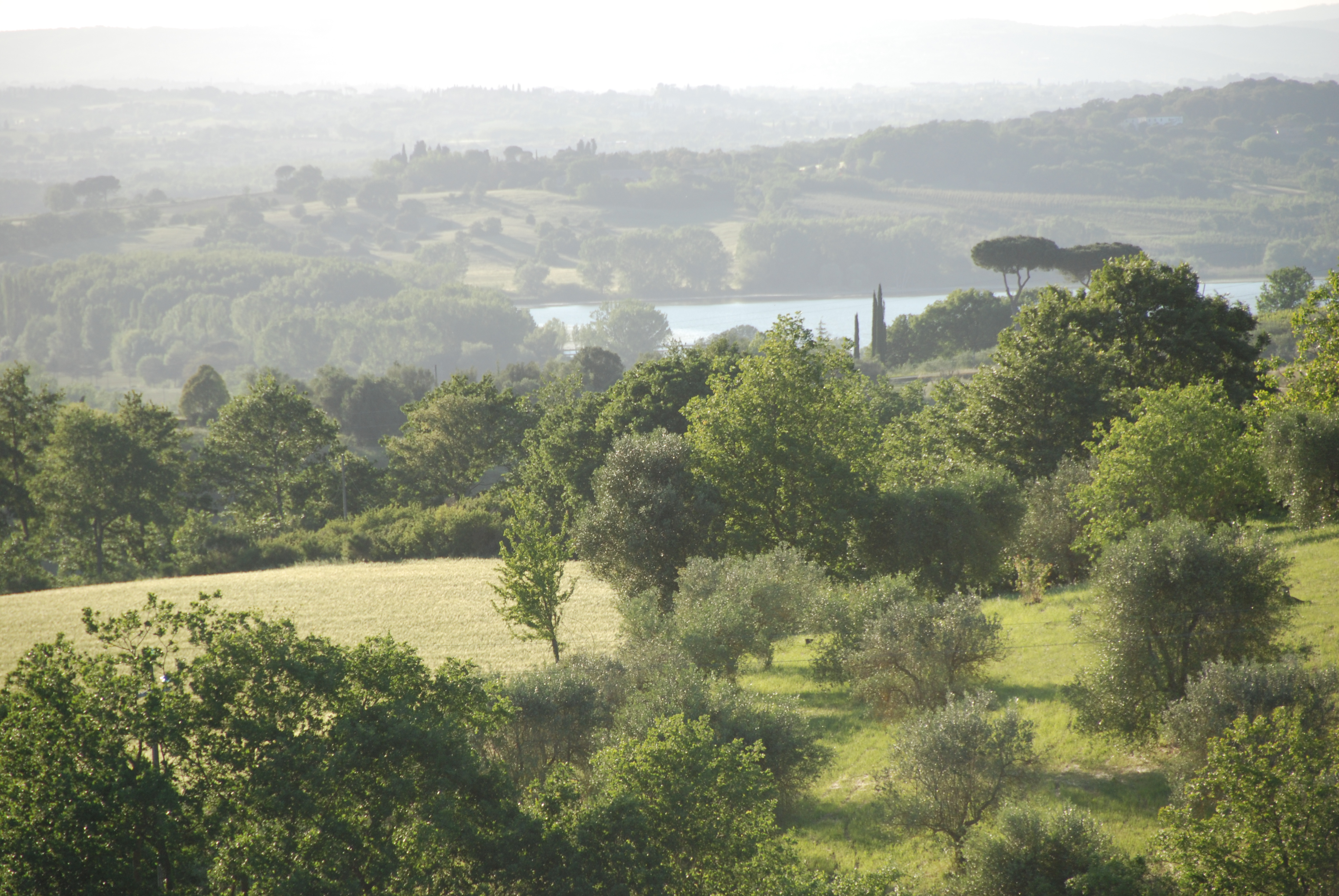 Lago di Chiusi